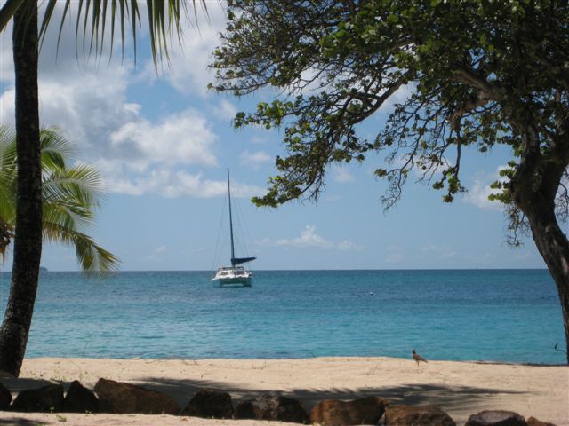 P'tits Loups 2 mouillé devant Palm Island